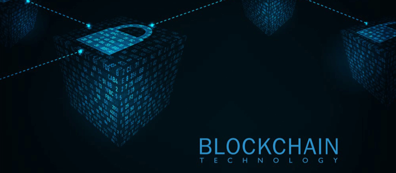 How Does Blockchain Transparency Drive Value?