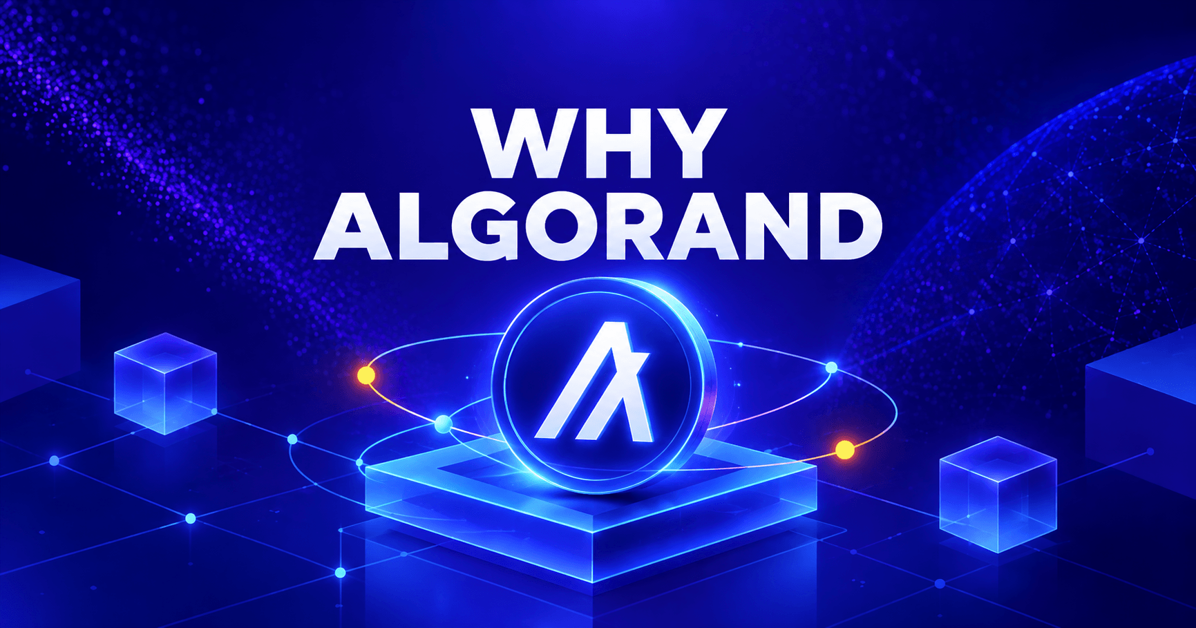 Why Trusty Digital uses Algorand